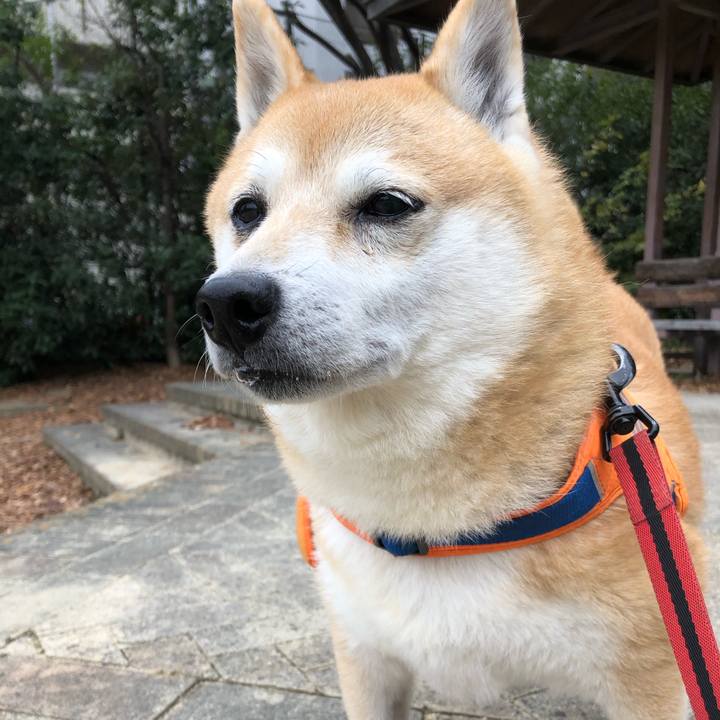 F6378160 5c14 4ac2 879a 71c5d767f446 1606270902409