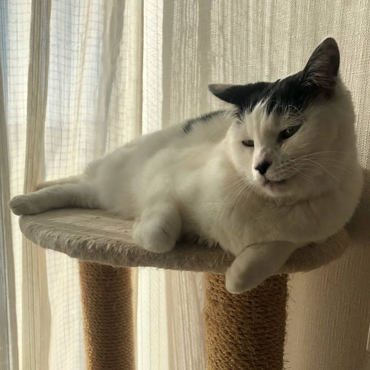 F63790fd cb08 445f a543 f7bc254d9e6a 1582959637831