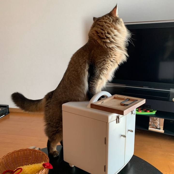 F637a81c 29c1 4d1f 8fa9 f75bd23b96a1 1758071130851