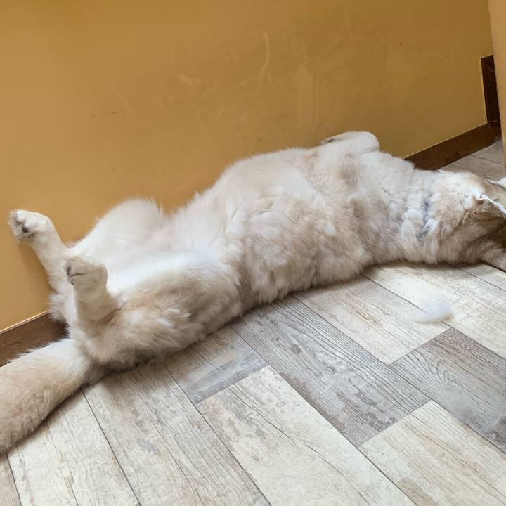 F637ab83 413c 46d6 bde5 39bcfee73450 1658109062149