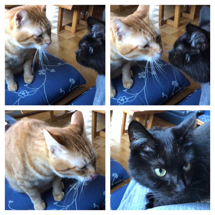 F637b200 03cf 4674 93ab 670c89655a1b 1569448674246