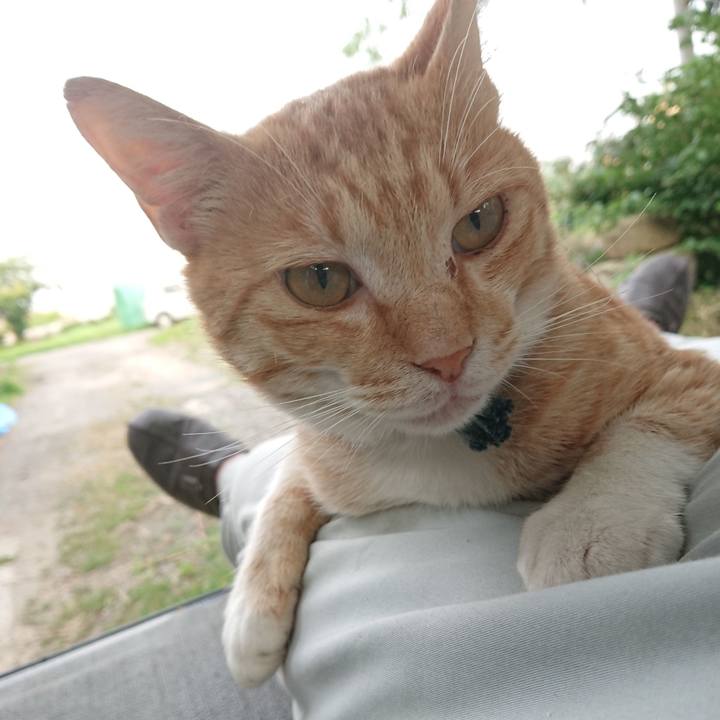 F637bc51 14c4 4962 8ede 1ee9c3ca777a 1562319611008