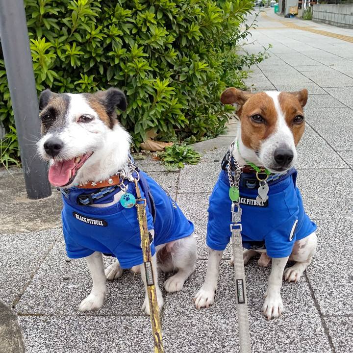 F637c7e2 5121 4a4a 8c26 f00e7012499c 1628717677444