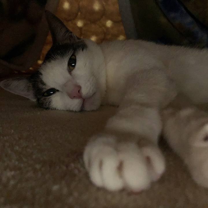 F638271e cafd 4aac a5d2 2513013e5801 1676038938439