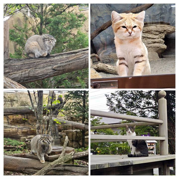 F6382b0c c64b 4dd2 9af6 538b8ff4ac47 1728878181817