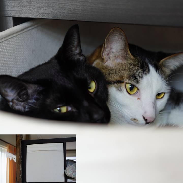 F6382e8d 1c91 452d a5b5 b6a2accf2445 1575277308108