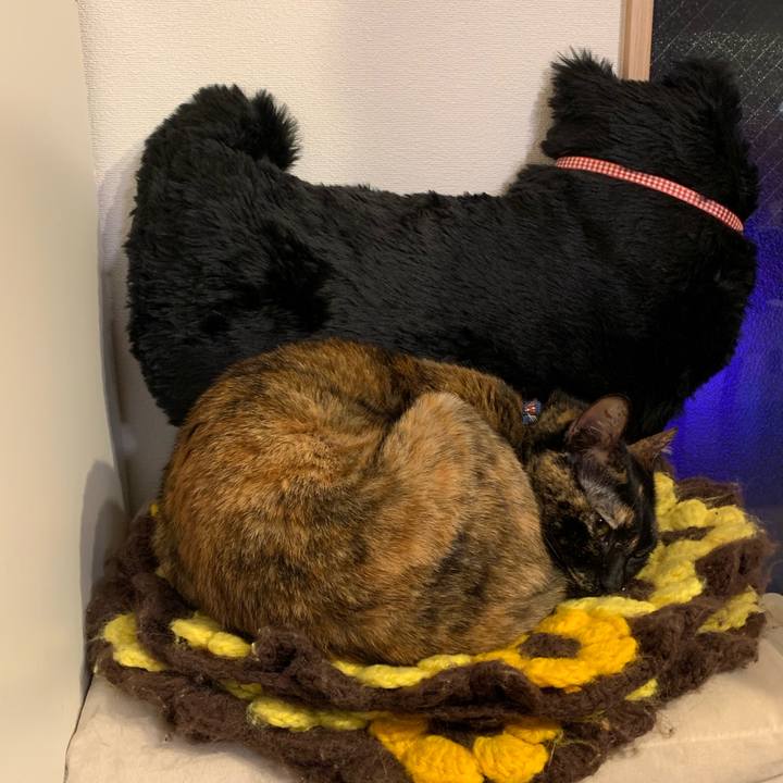 F6383ce5 7bb7 4a3c 8a4b ccf19b3ce213 1548604326361