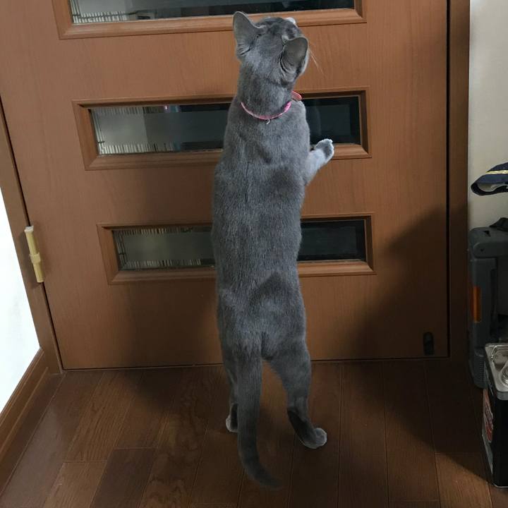 F63844c5 0f35 47e7 a715 5a372e5af446 1519999092221