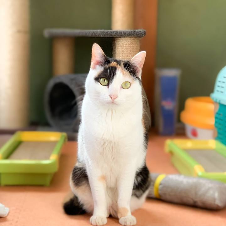 F6385e85 3a7e 47ad 94c8 cda57cd51d78 1578448523150