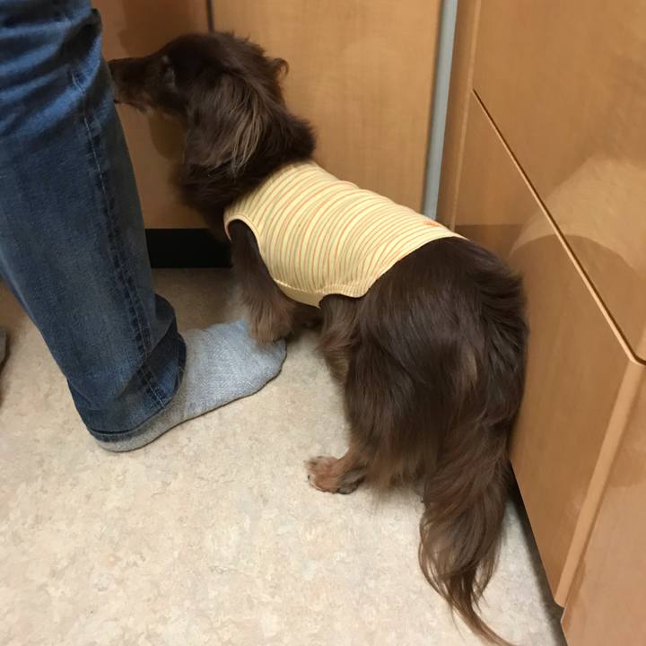 F638bf5d ff7e 4568 a4f5 bd04470a145f 1539431354836