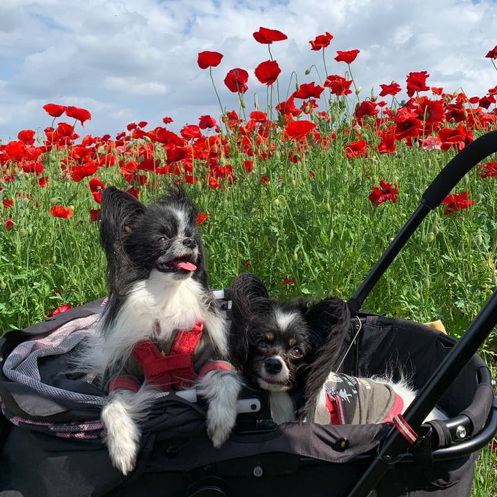 F638e4ee 7a21 4986 a92f 09b6873e8cbe 1558259807240