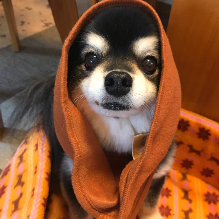 F638fd02 bb8d 442a 9253 7c51b98677cd 1526799099663