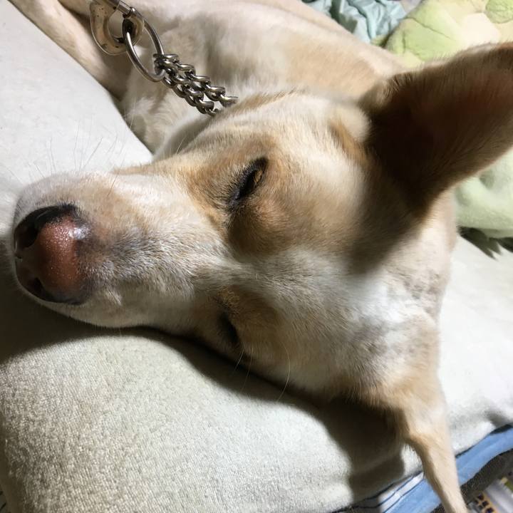 F63943be eced 47ce 82e4 eaf490d02230 1508664991577