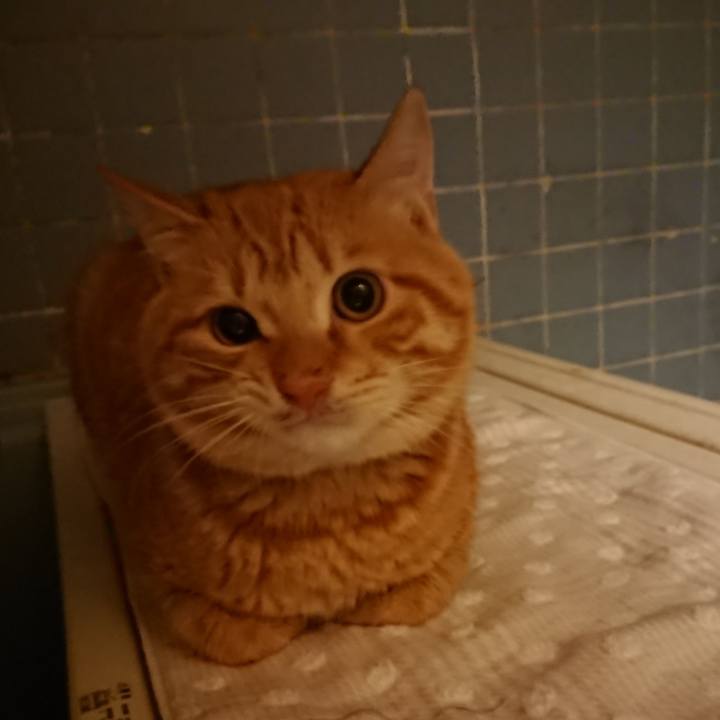 F6395c01 4695 413e 8c97 59fe7155ed45 1640511250844