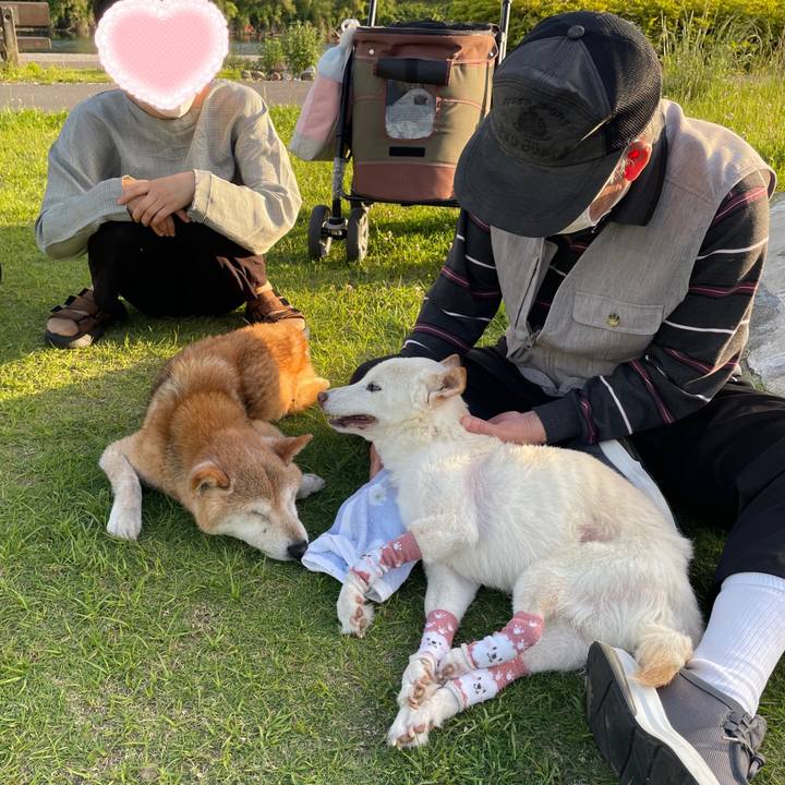 F6396237 0862 4713 ae3c e6d4dae068f7 1685068739906