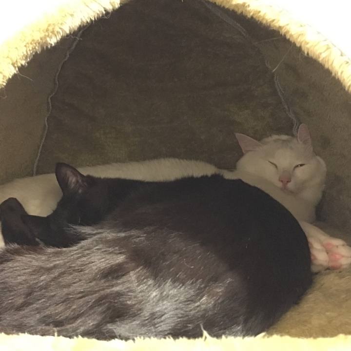 F6397574 f9ba 4a17 a29b 566e8089ff6f 1523924574194