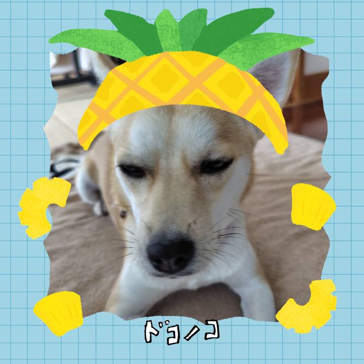 F63985f1 7f5b 4682 b446 ba0e5a0d2e45 1783467307526