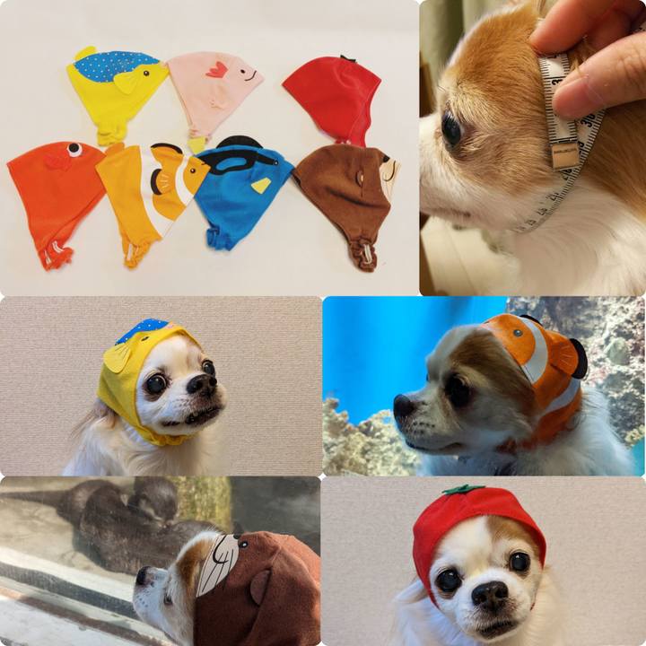 F639dedf 68d0 45c5 af44 9ef12b306269 1700263991558