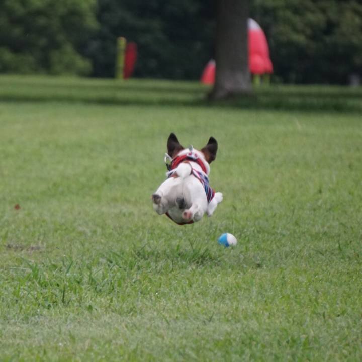 F63a02a2 cf0e 4bf5 9ee6 568d3fecb291 1566517124444