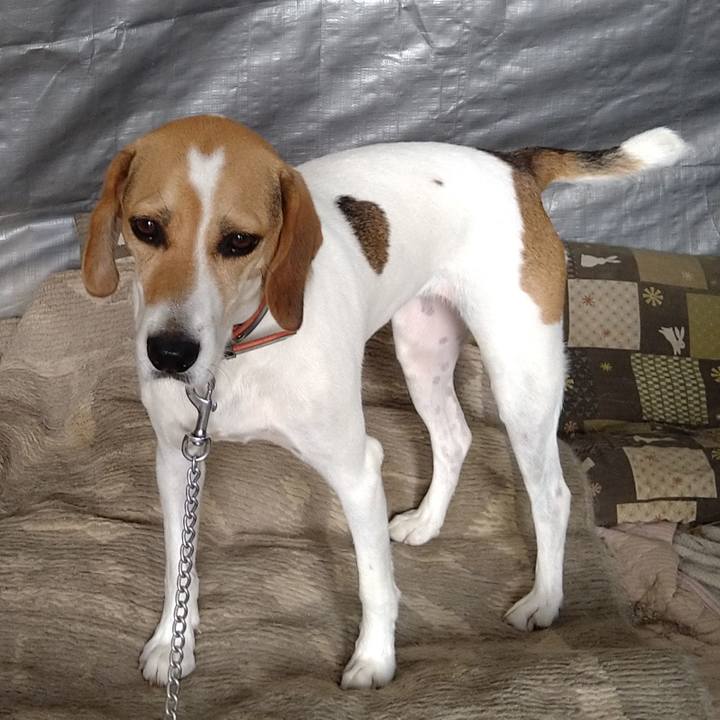 F63a185b 5c2d 424f aa70 68fee8ae9cc1 1629097492775