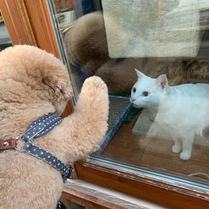 F63a2693 ec96 42b6 b600 60a6233ce3e4 1588767912087