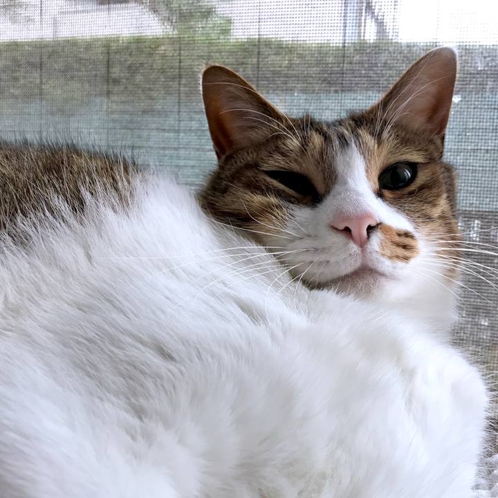 F63a3bc5 517a 4efb a882 44546b10c762 1520226688474