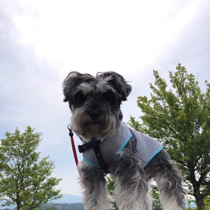 F63a4a0b 1ea9 445a 85ed e8f59085911e 1622684769878