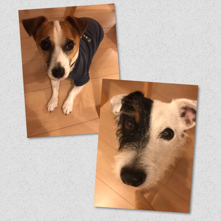 F63a4dbb 9cf5 4358 93ab 91455a997269 1539607423888