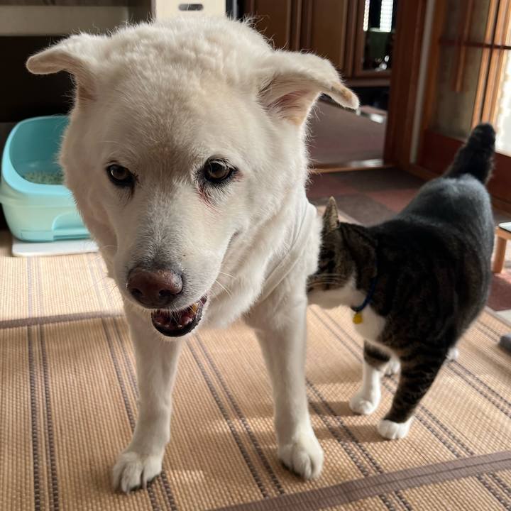 F63a5833 0134 4b66 a6e3 80c6b0a9a70c 1759361050259