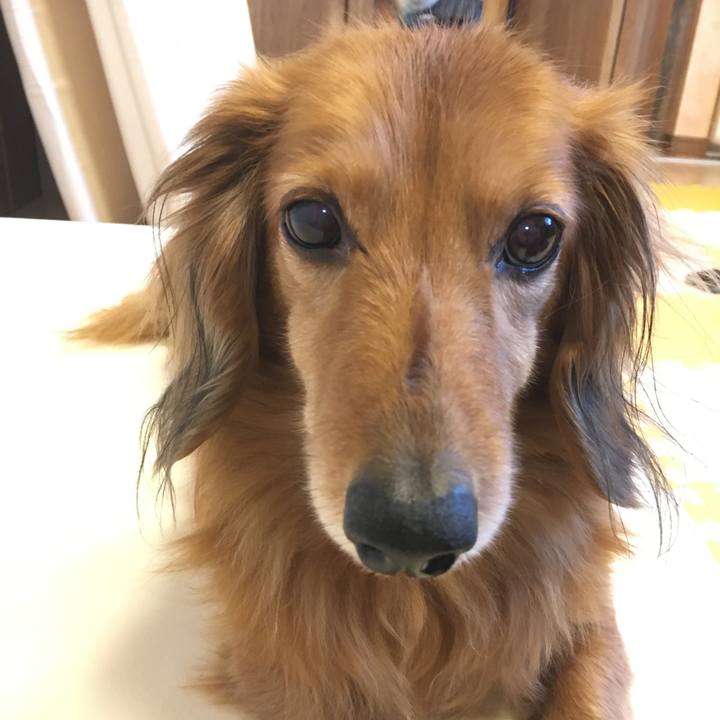 F63a66bd b7e5 4670 bb4d b0cf87bfd5bd 1521858253065