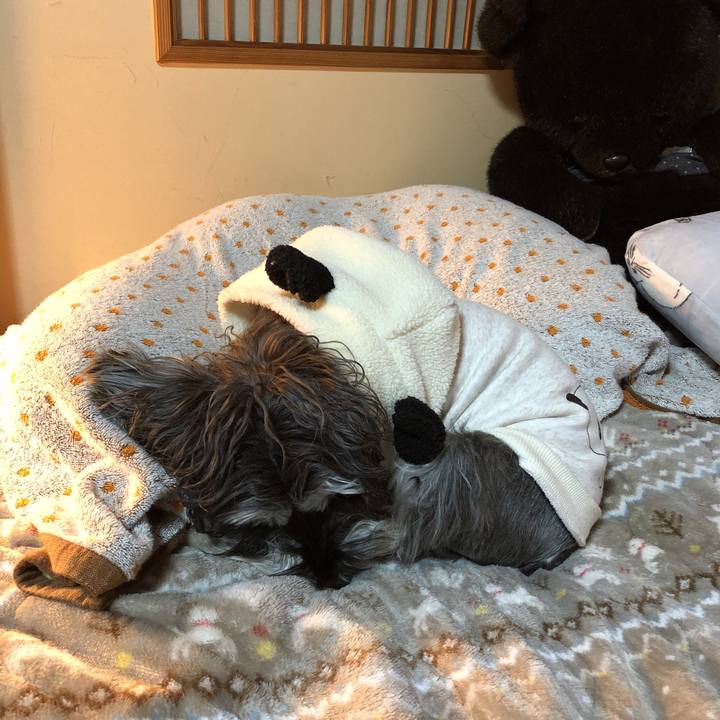 F63a8dc4 a6b6 4ccc ac65 5a8948e1643a 1548940182899