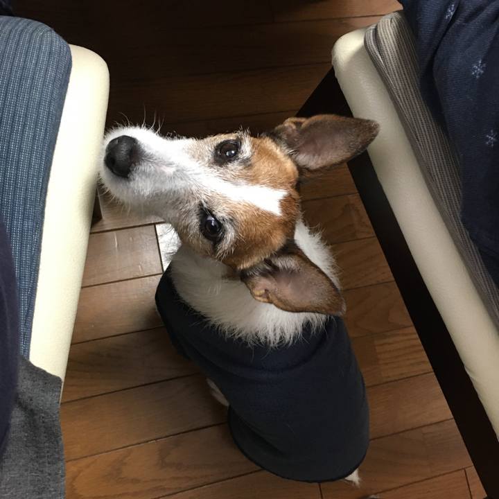 F63a94f8 fd1d 4907 8765 2026ad53fdd3 1576624343229