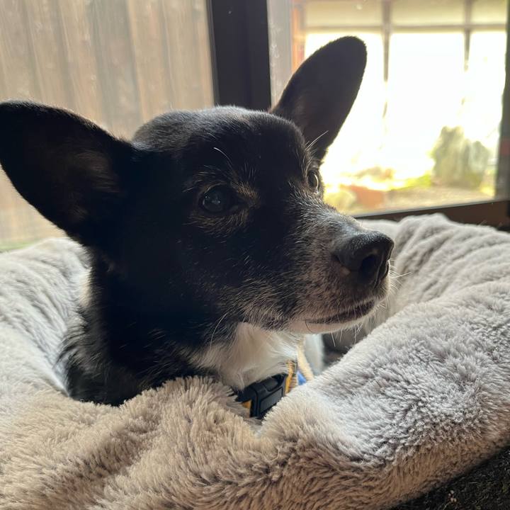 F63ad694 9d27 465d 9add 4a16284304c0 1774327038294