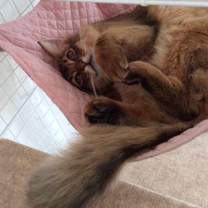 F63adcb1 b74e 4824 82de d232fa7ef993 1576296253126