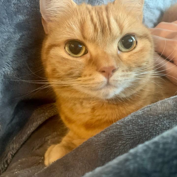 F63b0339 134b 4490 bf72 4e7aee9de80d 1670295090432