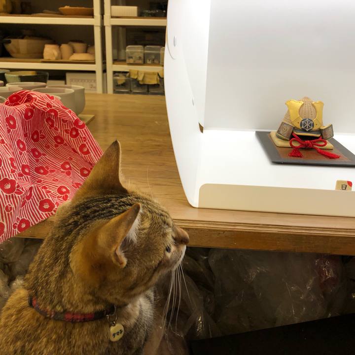 F63b3da3 b94c 4e27 a48e 8626f3d5cad1 1618562011918