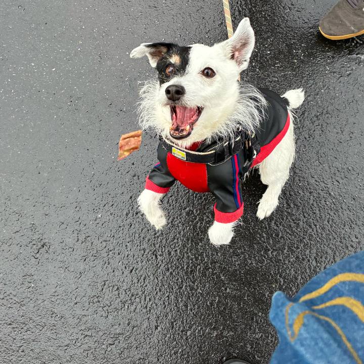 F63b5cc5 85d9 4477 9045 6ceeb3720a67 1774494893176