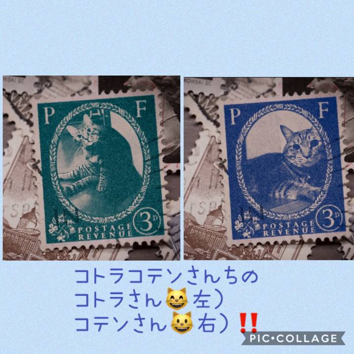 F63bb395 a5fb 479a a044 274099fc1530 1569855030897