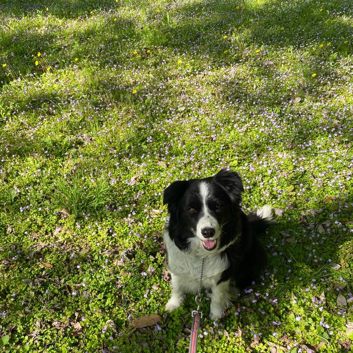 F63bd70b f74d 4a4f b908 5c7da1b22fcd 1618819742227