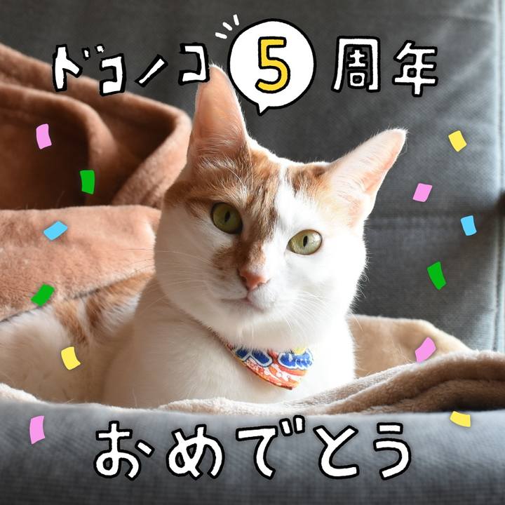F63beb2c 43f8 486d 9e6a 6c2e17490fb1 1622897771943