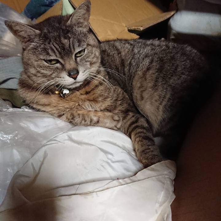 F63c20ca 6a6e 48c2 af21 eafa4bb8d69a 1559995446055