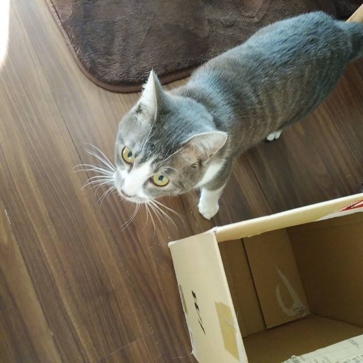 F63c3397 7a31 40de 812e 6b10bb4a8f6b 1582759449880