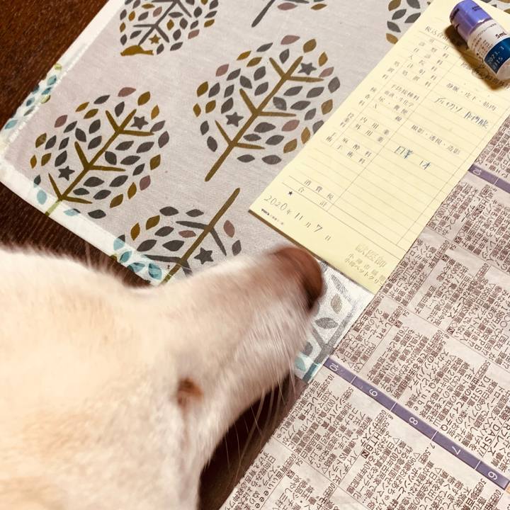 F63c3e48 28e1 4de1 b8c6 fc5e091bf21d 1604823989515