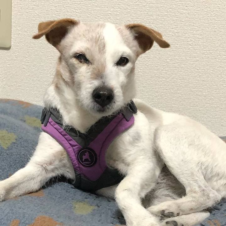 F63c45fa 94ba 44d6 959b a275491304f2 1548852984421