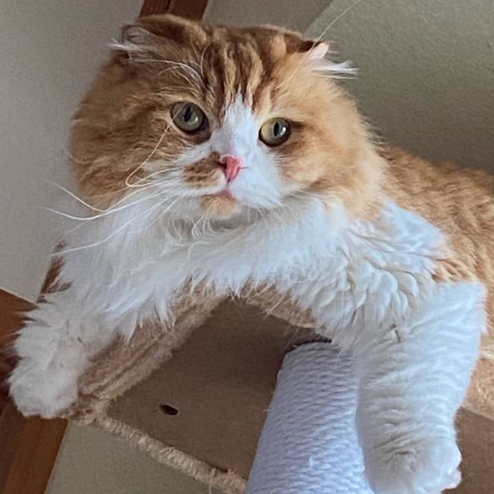 F63cc1ee a8c3 4c3d af90 541fc1788c2c 1599623698981