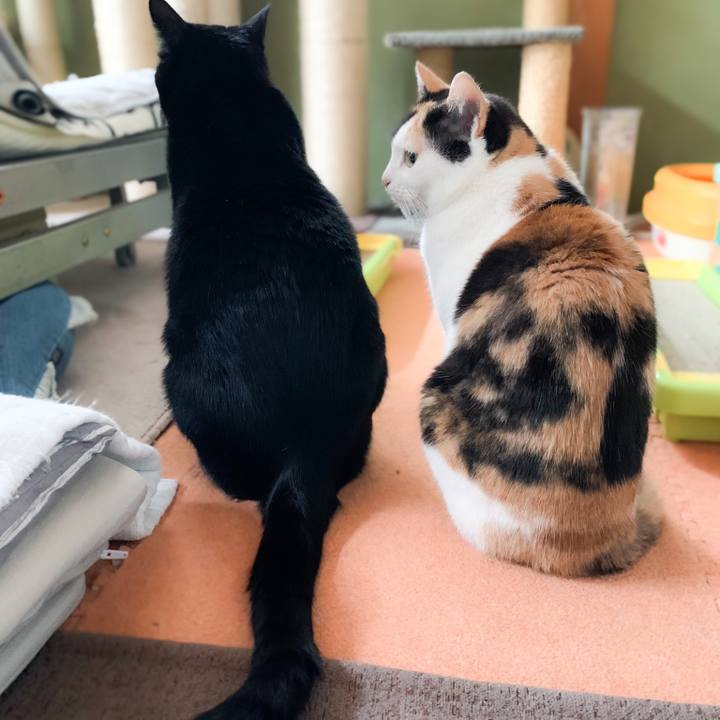 F63d21f6 772e 4cc8 b2da bbad69acd713 1577066389737