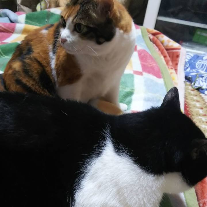 F63d6257 ba4f 43ce ad3a 59a9ef0699b5 1571953988462