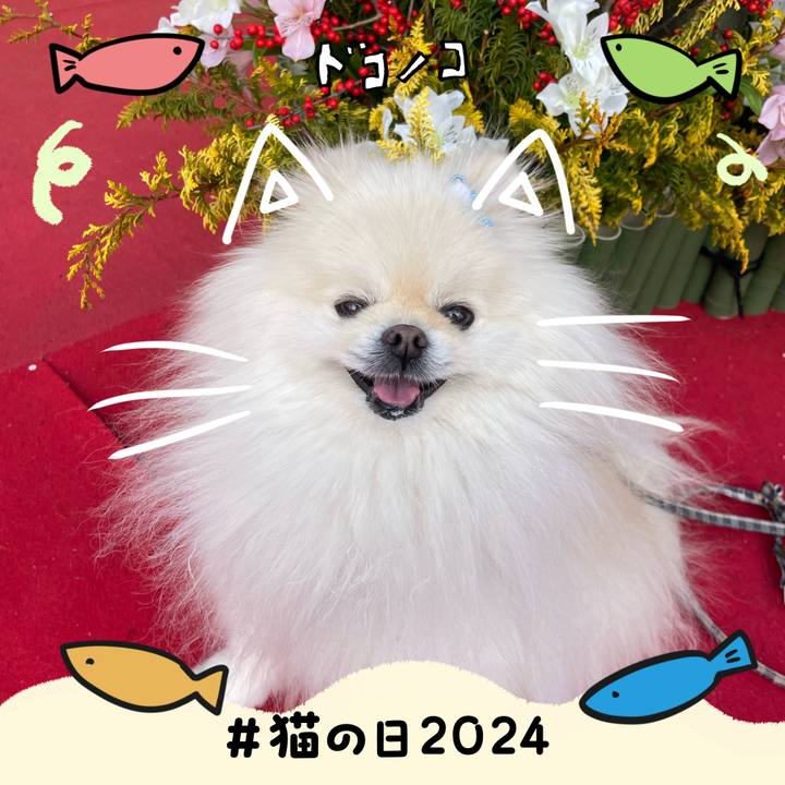 F63d6ac5 fd5f 4311 bc18 ccbf7ddecc4d 1708580755526