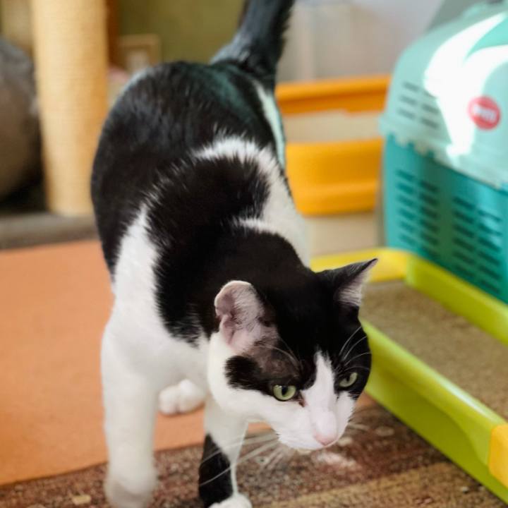 F63d7264 605a 4c0f 85a8 edc3362371aa 1619923147524