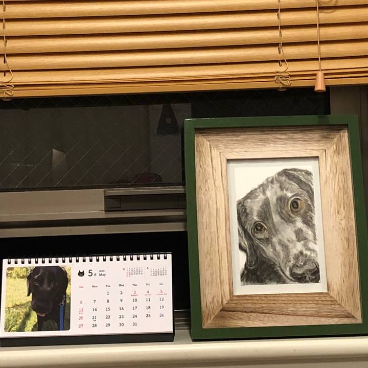 F63d72cc a9ea 414f 89f4 e260a9a67c87 1525432457016